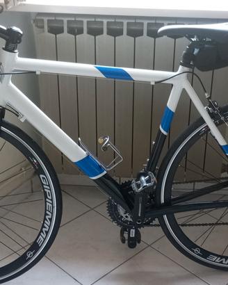 Bici da passeggio 