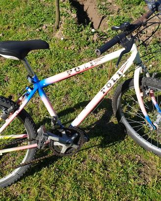 Mountain Bike Bambino
