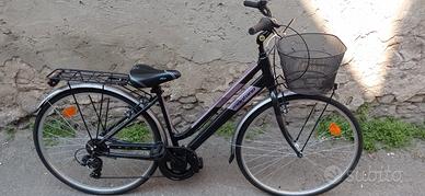 Coppia Bici city