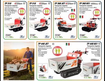 Motocariola cingolare