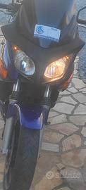 CBF 600 anno 2006