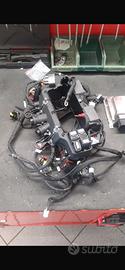 Impianto  elettrico completo  Panigale V4 R 2024