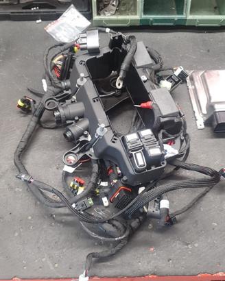 Impianto  elettrico completo  Panigale V4 R 2024