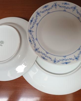 Servizio piatti Richard Ginori