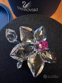 Orchidea Swarovski