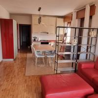 Appartamento con 4 o 5 camere in bifamiliare