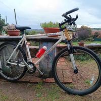 Specialized Stumpjumper 1990 con forcella Regina.