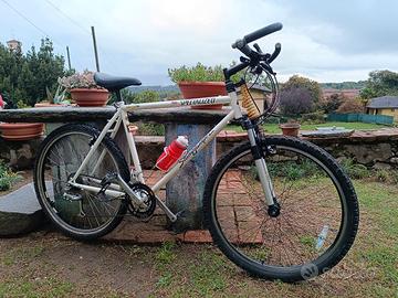 Specialized Stumpjumper 1990 con forcella Regina.