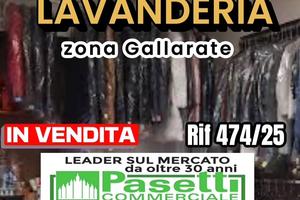 Zona Gallarate LAVANDERIA tradizionale