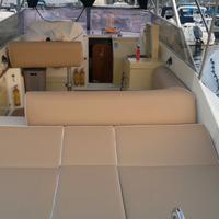 Conam lupo di mare 36