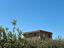 Immagine 6