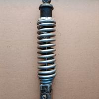 Ammortizzatore paioli