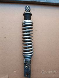 Ammortizzatore paioli