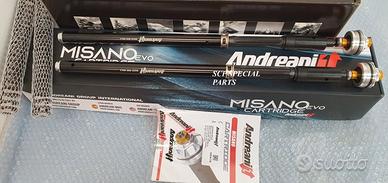 CARTUCCE MISANO EVO ANDREANI APRILIA TUONO 660 RS