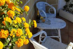 Trilocale zona porto