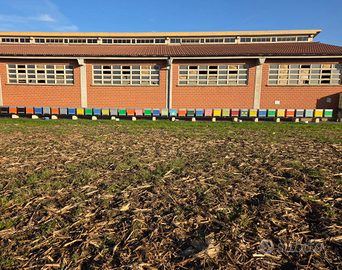 Famiglie Api con Arnie