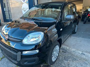 FIAT PANDA MY26 1.0 70cv Hybrid PANDA