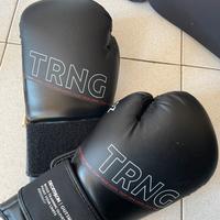 set guantoni e parastinchi kick boxing