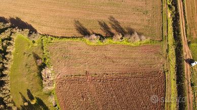 Terreno agricolo