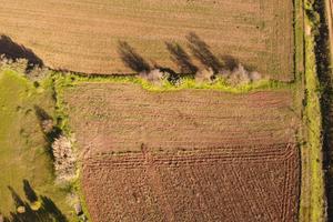 Terreno agricolo
