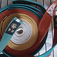 5 cinture judo bianca gialla verde arancio