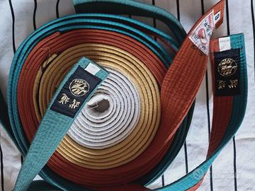 5 cinture judo bianca gialla verde arancio