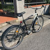 Bicicletta da città