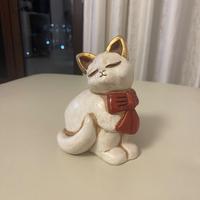 Gatto thun