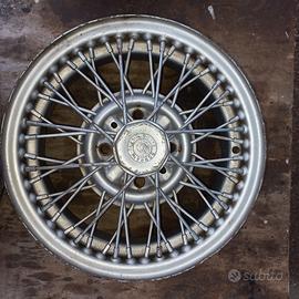 cerchi a raggi borrani