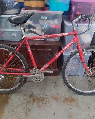montan bike