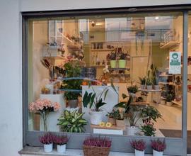 Attivita' commerciale fiori piante