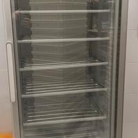 Congelatore isa del 2017