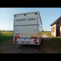 Van trasporto cavalli