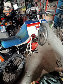 Honda XL Parigi Dakar ASI targa oro