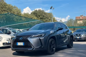 Lexus UX Hybrid Design
