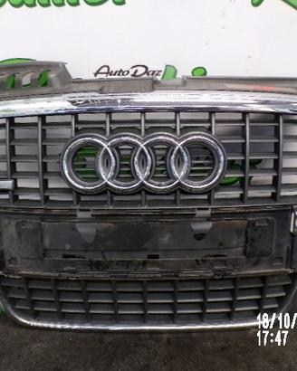 MASCHERINA ANTERIORE AUDI A4 B7 S-LINE 2007
