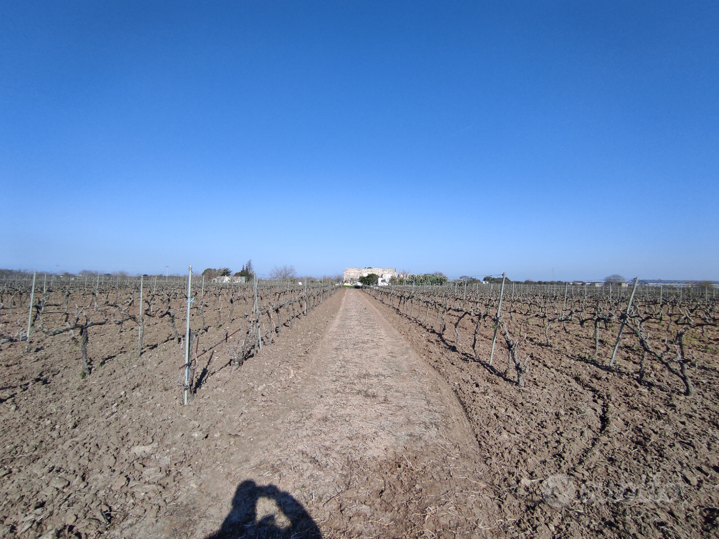 Terreno con vigneto - Vista 2