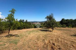 TER. RESIDENZIALE A VEJANO