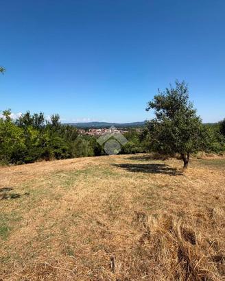 TER. RESIDENZIALE A VEJANO