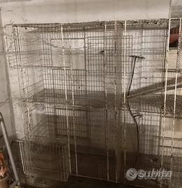 Gabbie per conigli - uccelli