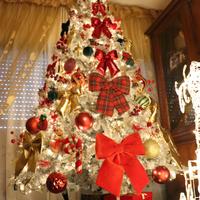 Albero di Natale altezza 300 cm .No addobbi e luci