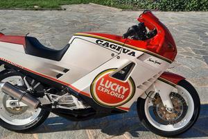 c12 lucky sp VERA