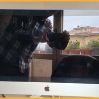 iMac A1418 21,5" 1TB da controllare display