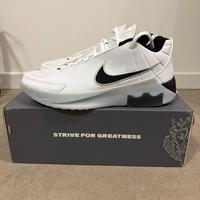 Nike LeBron Witness IX