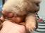 Immagine 4