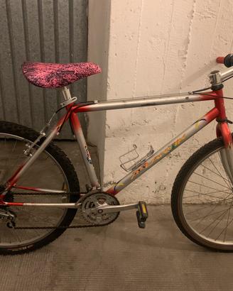 Bicicletta mountain bike