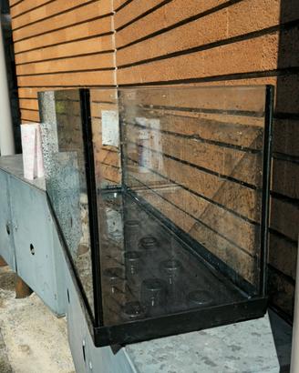acquario 150 lt completo