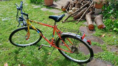 bicicletta Mountain bike 