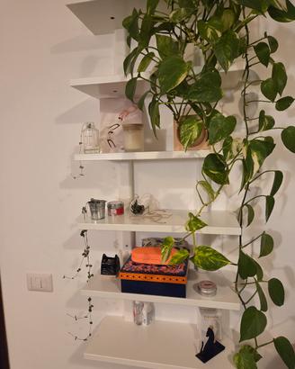 Mensole Ikea