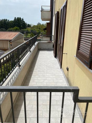 Duplex Gallarate [WP118VRG]